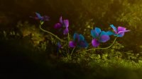 ویدیوهای جالب و شگفت انگیز در طبیعت - بخش 10