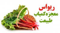 ریواس معجزه کمیاب طبیعت !