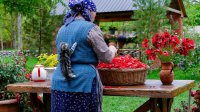 آشپزی روستایی آذربایجان - رایحه ای از بهار