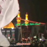 کلیپ شب سوم محرم برای استوری _ کلیپ حضرت رقیه برای استوری