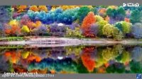 کلیپ عاشقانه برای همسرم برای وضعیت واتساپ و اینستا
