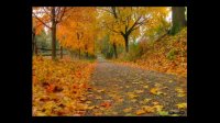 موسیقی ملایم بی کلام و غمگین